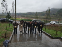 蓝田县退役军人事务局开展清明祭英烈活动