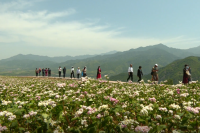 永寿县新型经营和服务主体能力提升培训班来蓝田观摩学习