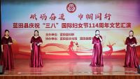 蓝田县纪念“三八”国际妇女节114周年大会暨文艺汇演隆重举行