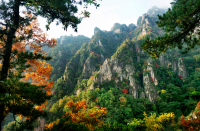 王顺山国家森林公园