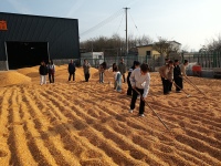 蓝田：信仰铸魂传薪火，青年学子践初心