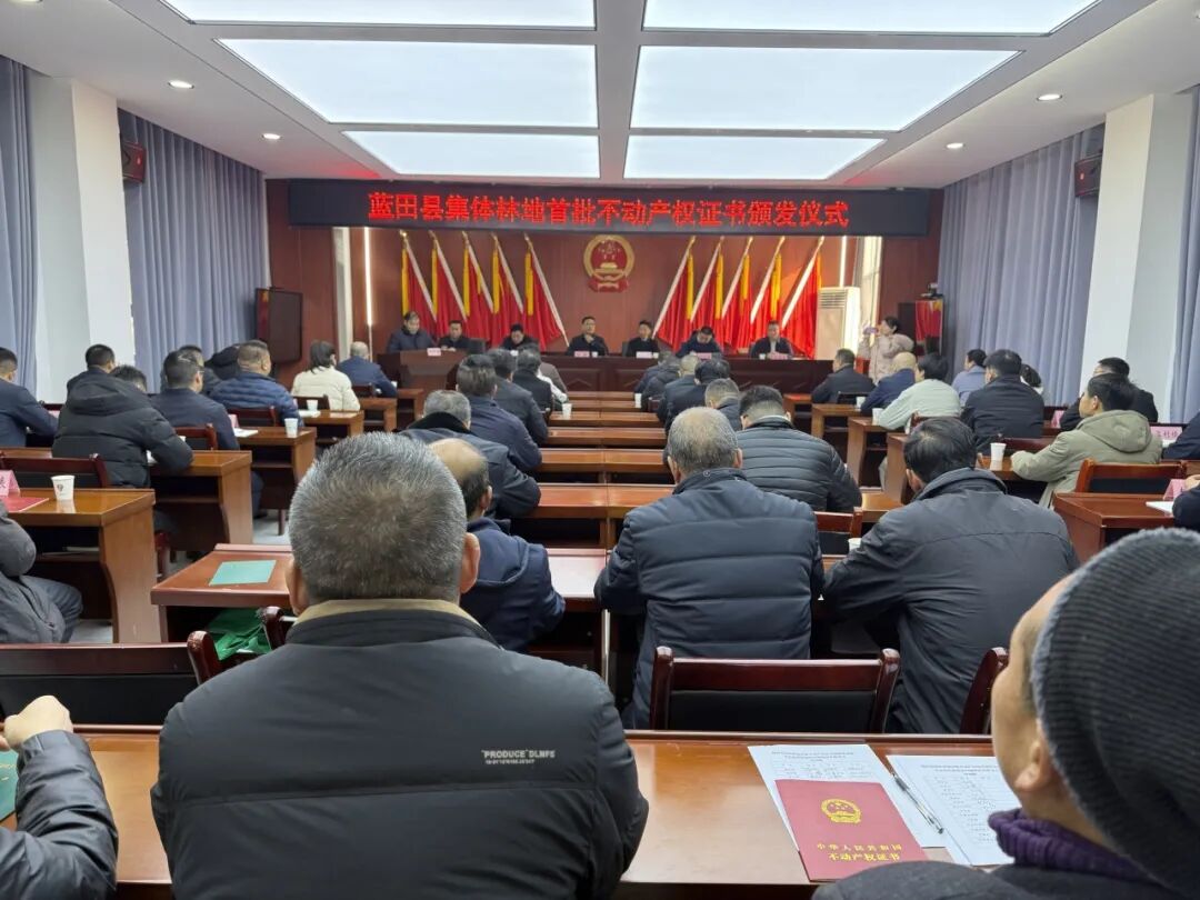 蓝田县举行集体林地首批不动产权证书颁证仪式