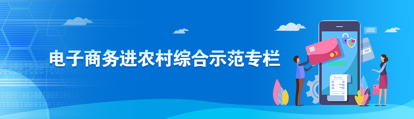 电子商务进农村综合示范专栏