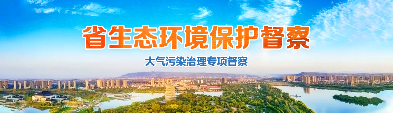 省生态环保督察（大气污染治理专项督察）